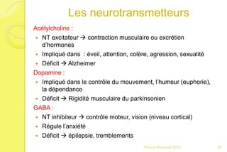 Les neurotransmetteurs
Acétylcholine :
 NT excitateur  contraction musculaire ou excrétion
d’hormones
 Impliqué dans : éveil, attention, colère, agression, sexualité
 Déficit  Alzheimer
Dopamine :
 Impliqué dans le contrôle du mouvement, l’humeur (euphorie),
la dépendance
 Déficit  Rigidité musculaire du parkinsonien
GABA :
 NT inhibiteur  contrôle moteur, vision (niveau cortical)
 Régule l’anxiété
 Déficit  épilepsie, tremblements
69Franck Rencurel 2020
 