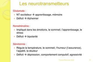 Les neurotransmetteurs
Glutamate :
 NT excitateur  apprentissage, mémoire
 Déficit  Alzheimer
Noradrénaline :
 Impliqué dans les émotions, le sommeil, l’apprentissage, le
stress
 Déficit  bipolarité
Sérotonine :
 Régule la température, le sommeil, l’humeur (l’assurance),
l’appétit, la douleur
 Déficit  dépression, comportement compulsif, agressivité
70Franck Rencurel 2020
 