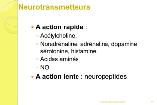 Neurotransmetteurs
 A action rapide :
◦ Acétylcholine,
◦ Noradrénaline, adrénaline, dopamine
sérotonine, histamine
◦ Acides aminés
◦ NO
 A action lente : neuropeptides
71Franck Rencurel 2020
 
