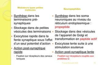 Médiateurs types petites
molécules
 Synthèse dans les
terminaisons pré-
synaptiques
 Stockage dans de petites
vésicules des terminaisons
 Exocytose rapide dans la
fente synaptique sous l’effet
d’un seul potentiel d’action
 Action post-synaptique
rapide
◦ Fixation sur récepteurs des canaux
ioniques
Neuropeptides
 Synthèse dans les soma
neuroniques au niveau du
réticulum endoplasmique :
propeptide
 Stockage dans des vésicules
de l’appareil de Golgi et
transformation en peptide actif
 Exocytose lente suite à une
stimulation soutenue
 Action post-synaptique lente
◦ Fixation sur récepteurs couplés aux
protéines G
72Franck Rencurel 2020
 