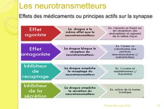 Les neurotransmetteurs
Effets des médicaments ou principes actifs sur la synapse
75Franck Rencurel 2020
 