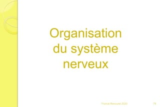 Franck Rencurel 2020 78
Organisation
du système
nerveux
 