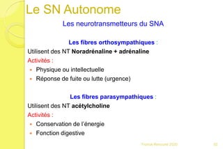 Les neurotransmetteurs du SNA
Les fibres orthosympathiques :
Utilisent des NT Noradrénaline + adrénaline
Activités :
 Physique ou intellectuelle
 Réponse de fuite ou lutte (urgence)
Les fibres parasympathiques :
Utilisent des NT acétylcholine
Activités :
 Conservation de l’énergie
 Fonction digestive
92Franck Rencurel 2020
Le SN Autonome
 