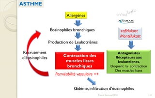zafirlukast
Montélukast
Contraction des
muscles lisses
bronchiques
Perméabilité vasculaire ++
Recrutement
d’éosinophiles
Œdème, infiltration d’éosinophiles
Antagonistes
Récepteurs aux
leukotrienes,
bloquent la contraction
Des muscles lisses
ASTHME
Allergènes
Éosinophiles bronchiques
Production de Leukotriènes
110Franck Rencurel 2020
 