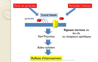 Cavité Nasale
Excès de particules Particules irritantes
Signaux nerveux via
les cils
ou récepteurs spécifiquesNerfTrijumeau
Bulbe rachidien
Reflexe d’éternuement
particules
15Franck Rencurel 2020
 