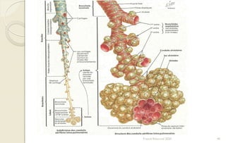 40Franck Rencurel 2020
 