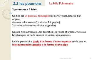 41Franck Rencurel 2020
2.3 les poumons
2 poumons = 2 hiles.
Un hile est un point où convergent les nerfs, veines, artères d’un
organe.
4 veines pulmonaires (2 à droite, 2 à gauche)
2 artères pulmonaires (droite et gauche)
Dans le hile pulmonaire , les bronches, les veines et artères, vaisseaux
lymphatiques et nerfs entrent et sortent des poumons.
Le hile pulmonaire droit à la forme d’une raquette tandis que le
hile pulmonaire gauche a la forme d’une pipe
Le Hile Pulmonaire
 