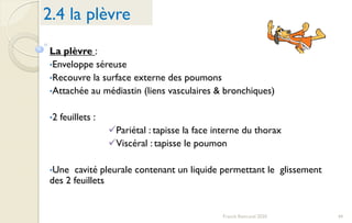 44Franck Rencurel 2020
2.4 la plèvre
La plèvre :
•Enveloppe séreuse
•Recouvre la surface externe des poumons
•Attachée au médiastin (liens vasculaires & bronchiques)
•2 feuillets :
Pariétal : tapisse la face interne du thorax
Viscéral : tapisse le poumon
•Une cavité pleurale contenant un liquide permettant le glissement
des 2 feuillets
 