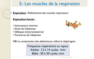 59Franck Rencurel 2020
5- Les muscles de la respiration
Expiration : Relâchement des muscles inspirateurs
Expiration forcée :
• Intercostaux internes
• Droit de l’abdomen
• Obliques (interne/externe)
•Transverse de l’abdomen
NB: La compression des abdominaux relève le diaphragme
Fréquence respiratoire au repos:
Adulte : 12 à 14 cycles /min
Bébé : 30 à 50 cycles /min
 