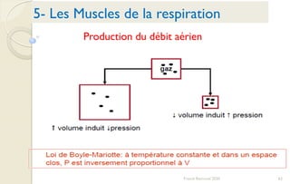 62Franck Rencurel 2020
Production du débit aérien
5- Les Muscles de la respiration
 