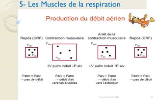 63Franck Rencurel 2020
5- Les Muscles de la respiration
 