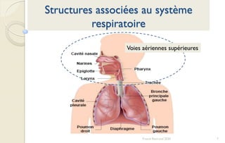 7Franck Rencurel 2020
Structures associées au système
respiratoire
Voies aériennes supérieures
 
