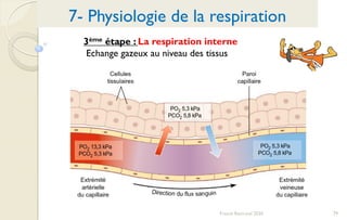 79Franck Rencurel 2020
3ème étape : La respiration interne
Echange gazeux au niveau des tissus
7- Physiologie de la respiration
 