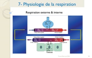 80Franck Rencurel 2020
Respiration externe & interne
7- Physiologie de la respiration
 