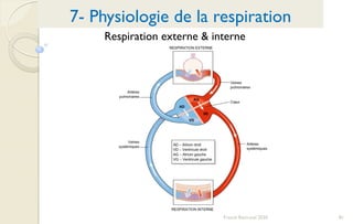 81Franck Rencurel 2020
Respiration externe & interne
7- Physiologie de la respiration
 