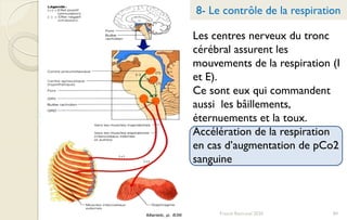Franck Rencurel 2020 84
8- Le contrôle de la respiration
Les centres nerveux du tronc
cérébral assurent les
mouvements de la respiration (I
et E).
Ce sont eux qui commandent
aussi les bâillements,
éternuements et la toux.
Accélération de la respiration
en cas d’augmentation de pCo2
sanguine
 