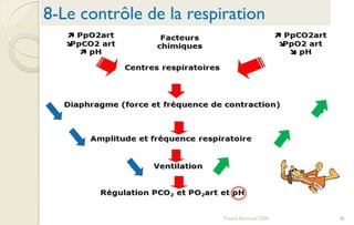 Franck Rencurel 2020 86
8-Le contrôle de la respiration
 