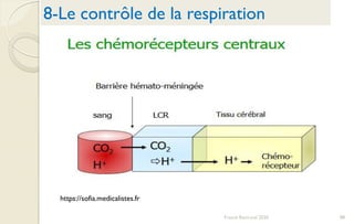 Franck Rencurel 2020 88
8-Le contrôle de la respiration
https://sofia.medicalistes.fr
 