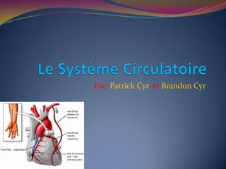 Le Système Circulatoire Par: Patrick Cyr et Brandon Cyr 