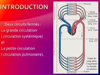  Deux circuits fermés :
La grande circulation
( circulation systémique)
et
La petite circulation
( circulation pulmonaire).
Trajet du
sang dans
l’organisme
La double
circulation
 
