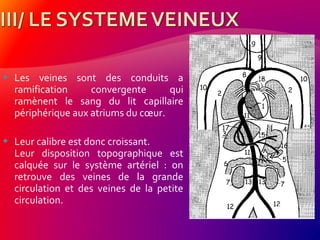  Les veines sont des conduits a
ramification convergente qui
ramènent le sang du lit capillaire
périphérique aux atriums du cœur.
 Leur calibre est donc croissant.
Leur disposition topographique est
calquée sur le système artériel : on
retrouve des veines de la grande
circulation et des veines de la petite
circulation.
 