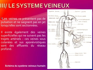 Schéma du système veineux humain
Les veines ne présentent pas de
pulsation et ne saignent pas en jet
lorsqu'elles sont sectionnées.
Il existe également des veines
superficielles qui ne suivent pas les
trajets artériels : ces veines sous
cutanées et sus aponévrotiques
sont des affluents du réseau
profond.
 