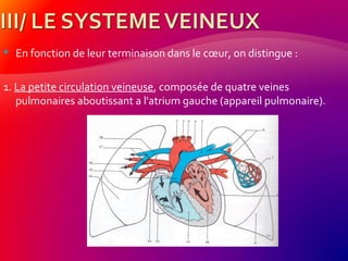  En fonction de leur terminaison dans le cœur, on distingue :
1. La petite circulation veineuse, composée de quatre veines
pulmonaires aboutissant a l'atrium gauche (appareil pulmonaire).
 
