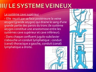 Le système cave supérieur :
- Elle reçoit par sa face postérieure la veine
azygos'(grande azygos) qui draine le sang d'une
grande partie des parois du tronc (le système
azygos constitue une anastomose entre les
systèmes cave supérieur et cave inférieur).
- Dans chaque confluent jugulo-subclavier
s'abouche un conduit lymphatique : conduit
(canal) thoracique a gauche, conduit (canal)
lymphatique a droite.
 