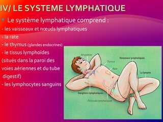  Le système lymphatique comprend :
- les vaisseaux et nœuds lymphatiques
- la rate
- le thymus (glandes endocrines)
- le tissus lymphoïdes
(situés dans la paroi des
voies aériennes et du tube
digestif)
- les lymphocytes sanguins
 