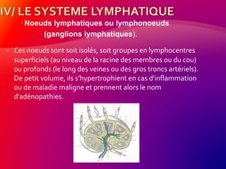 - Ces noeuds sont soit isolés, soit groupes en lymphocentres
superficiels (au niveau de la racine des membres ou du cou)
ou profonds (le long des veines ou des gros troncs artériels).
De petit volume, ils s’hypertrophient en cas d'inflammation
ou de maladie maligne et prennent alors le nom
d'adénopathies.
• Noeuds lymphatiques ou lymphonoeuds
(ganglions lymphatiques).
 