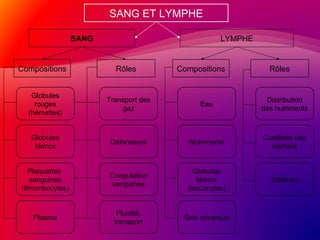 SANG ET LYMPHE
SANG LYMPHE
Compositions Rôles Compositions Rôles
Globules
rouges
(hématies)
Globules
blancs
Plaquettes
sanguines
(thrombocytes)
Plasma
Transport des
gaz
Défenseurs
Coagulation
sanguines
Fluidité,
transport
Eau
Nutriments
Sels minéraux
Globules
blancs
(leucocytes)
Distribution
des nutriments
Cueillette des
déchets
Défense
 