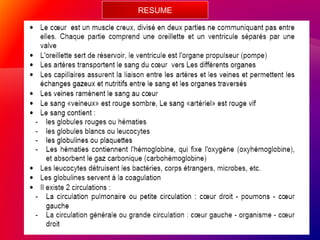RESUME
 