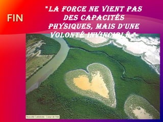 "La force ne vient pas
des capacités
physiques, mais d'une
voLonté invincibLé "
 