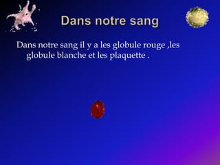 Dans notre sang Dans notre sang il y a les globule rouge ,les globule blanche et les plaquette .