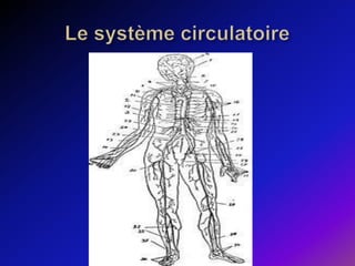 Le système circulatoire 