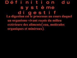 Définition du système digestif ,[object Object]