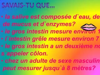Savais-tu que… la salive est composée d`eau, de sels minéraux, de mucus et d`enzymes? le gros intestin mesure environ 1,5 mètres?