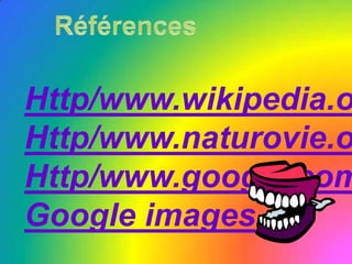  l`intestin grêle mesure environ 7 mètres?