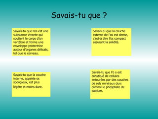 Savais-tu que ? Savais-tu que  l’os est une substance vivante qui soutient le corps d’un vertébré et forme une enveloppe protectrice autour d’organes délicats, tel que le cerveau. Savais-tu que la couche externe de l’os est dense, c’est-à dire l’os compact assurant la solidité. Savais-tu que la couche interne, appelée os spongieux, est plus légère et moins dure.   Savais-tu que l’o s est constitué de cellules entourées par des couches de sels minéraux durs comme le phosphate de calcium. 