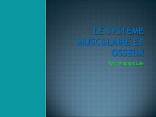 Le système musculaire et osseux  Par: Vincent Lee 