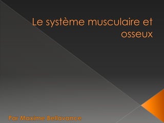 Le système musculaire et osseux Par Maxime Bellavance 