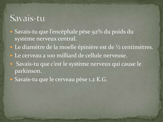 Savais-tu que l’encéphale pèse 92% du poids du système nerveux central.Le diamètre de la moelle épinière est de ½ centimètres.Le cerveau a 100 milliard de cellule nerveuse. Savais-tu que c’est le système nerveux qui cause le parkinson.Savais-tu que le cerveau pèse 1.2 K.G.  Savais-tu 