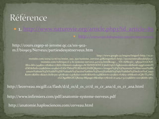 1. http://www.naturovie.org/article.php3?id_article=85http://www.corps.dufouraubin.com/nerveux/nerveuxhttp://www.google.ca/imgres?imgurl=http://s2.e-monsite.com/2009/12/16/02/resize_550_550/systeme_nerveux.gif&imgrefurl=http://secouristevalleydelalys.e-monsite.com/rubrique,6-3-le-systeme-nerveux,427274.html&usg=__YH-AJMo3LI_-9hy9oVcGOUf-8E0=&h=344&w=282&sz=17&hl=fr&start=119&sig2=ACIhIWJO6WCZ3kshUqGUAg&zoom=1&tbnid=uggGxintoTI1EM:&tbnh=129&tbnw=104&ei=EASvTMmjPIGBlAeHj7HdBQ&prev=/images%3Fq%3Dsysteme%2Bnerveux%2Bhumain%26um%3D1%26hl%3Dfr%26safe%3Dactive%26biw%3D1003%26bih%3D567%26tbs%3Disch:10%2C2997&um=1&itbs=1&iact=hc&vpx=467&vpy=240&dur=10087&hovh=248&hovw=203&tx=67&ty=166&oei=oQKvTLyWGcGC8ga88rGfCQ&esq=8&page=8&ndsp=17&ved=1t:429,r:3,s:119&biw=1003&bih=567.Référencehttp://cours.cegep-st-jerome.qc.ca/101-902-m.f/bio903/Nerveux/partiesdesystnerveux.htmhttp://lecerveau.mcgill.ca/flash/d/d_01/d_01_cr/d_01_cr_ana/d_01_cr_ana.htmlhttp://www.infirmiers.com/pdf/anatomie-systeme-nerveux.pdfhttp://anatomie.haplosciences.com/cerveau.html