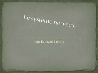 Par: Edouard Bastille Le système nerveux 