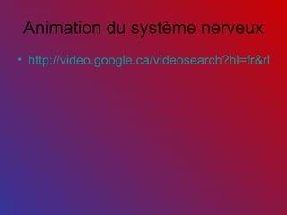 Animation du système nerveux http://video.google.ca/videosearch?hl=fr&rlz=1G1GGLQ_FRCA357&q=le%20systeme%20nerveux&um=1&ie=UTF-8&sa=N&tab=wv#hl=fr&rlz=1G1GGLQ_FRCA357&q=le+systeme+nerveux&um=1&ie=UTF-8&sa=N&tab=wv&view=3&qvid=le+systeme+nerveux&vid=-4414716818347283887 