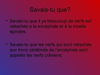 Savais-tu que? Savais-tu que il ya beaucoup de nerfs est rattachés a la encéphale et à la moelle épinière. Savais-tu que les nerfs qui sont rattachés aux tronc cérébrale de l’encéphale sont appelés les nerfs crâniens.  