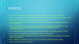Le système nerveux.pptx description d'anatomie | PPTX | Brain and ...