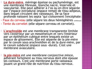  La dure-mère, méninge épaisse ou pachyméninge, est 
une membrane fibreuse, blanche nacré, innervée et 
vascularisé. Elle peut adhérer à l’os ou en être séparée 
par l’espace extradural (espace rempli de tissu adipeux, 
dans lequel circulent des vaisseaux). De sa face 
profonde naissent les septa "qui cloisonnent l'encéphale: 
- Faux du cerveau (elle sépare les deux hémisphères cérébraux) 
- Tente du cervelet (elle sépare cerveau et cervelet). 
 L'arachnoïde est une membrane transparente limitée 
vers l'extérieur par un mesothelium et vers I'intérieur 
par un épithélium cubique entre lesquels existe un 
espace de glissement. Elle est séparée de la pie-mère 
par le cavum sous-arachnoïdien et de la dure-mère, par 
le cavum subdural (espace sous -dural). C'est une 
membrane avasculaire. 
 la pie-mère est une membrane conjonctive mince, 
adhérant fortement au tissu nerveux dont elle épouse 
les contours. C'est une membrane porte vaisseaux 
jouant un grand rôle de nutrition du tissu nerveux. 
 