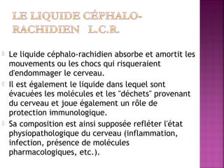  Le liquide céphalo-rachidien absorbe et amortit les 
mouvements ou les chocs qui risqueraient 
d'endommager le cerveau. 
 Il est également le liquide dans lequel sont 
évacuées les molécules et les "déchets" provenant 
du cerveau et joue également un rôle de 
protection immunologique. 
 Sa composition est ainsi supposée refléter l'état 
physiopathologique du cerveau (inflammation, 
infection, présence de molécules 
pharmacologiques, etc.). 
 