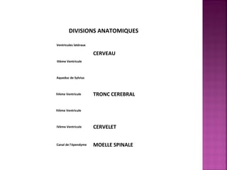 DIVISIONS ANATOMIQUES 
Ventricules latéraux 
CERVEAU 
IIIème Ventricule 
Aqueduc de Sylvius 
IVème Ventricule TRONC CEREBRAL 
IVème Ventricule 
IVème Ventricule CERVELET 
Canal de l'épendyme MOELLE SPINALE 
 